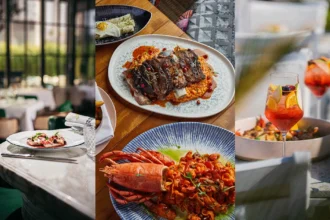 20 new dubai brunches