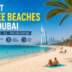 Best Free Beaches in Dubai