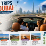 Road Trips in Dubai