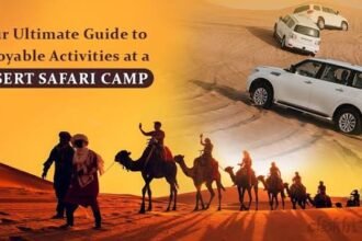 Ultimate Guide to Desert Safari