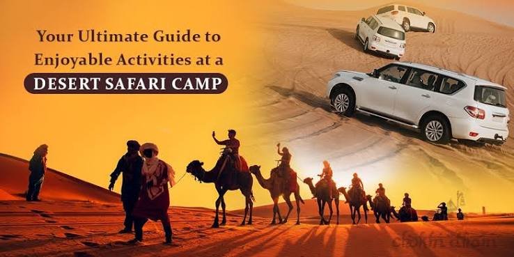 Ultimate Guide to Desert Safari All You Need to Know 1 Ultimate Guide to Desert Safari