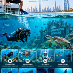 Best Underwater Activities in Dubai