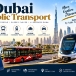 Dubai Public Transport