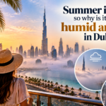 Dubai humidity and fog