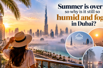 Dubai humidity and fog