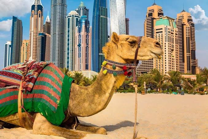 Things to Do in the Dubai