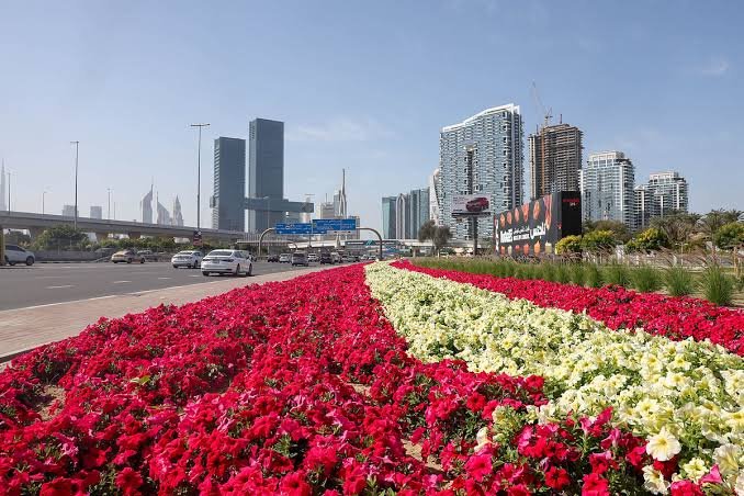 The Art of Giving Flowers in the UAE: A Practical Guide for Every Occasion 2 giving flowers in UAE